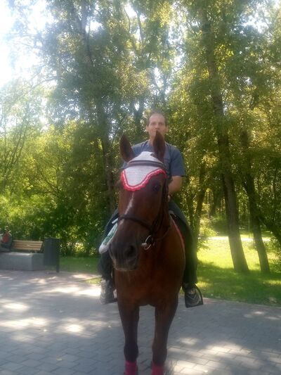  ,   , 51 ,   ,   , c , 