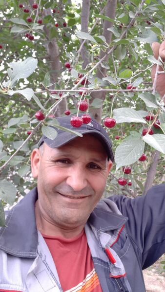  ,   , 53 ,   ,   