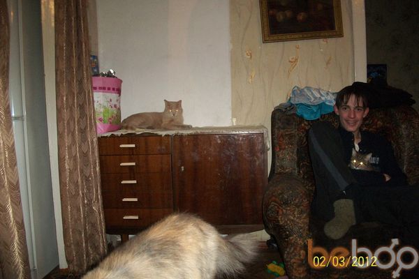  ,   , 33 ,     , c 