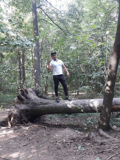  ,   , 31 ,   ,   , c 