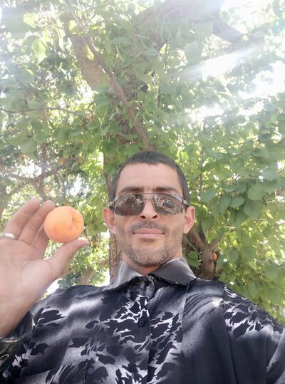  ,   , 41 ,   ,   