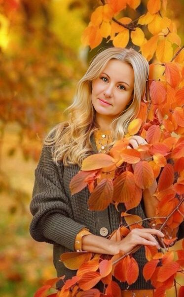  -,   , 42 ,     , c , 