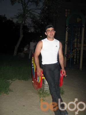  3318240  , 37 ,    -