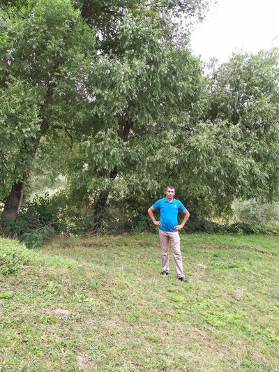  ,   Elman, 41 ,   ,   , c 