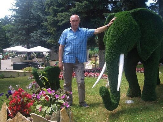  ,   , 62 ,   