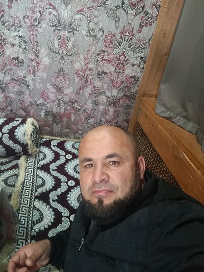  ,       , 41 ,   ,   