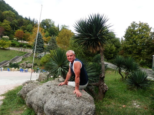  ,   , 65 ,   