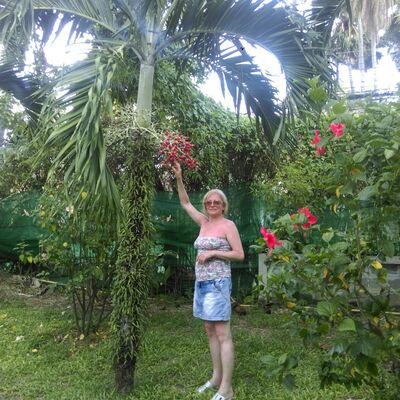   ,   , 65 ,     , c 