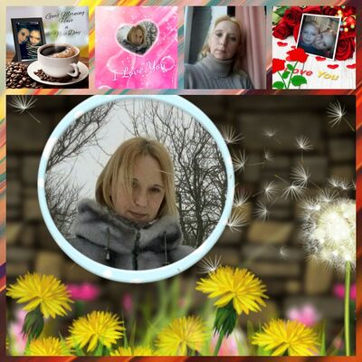   ,   , 41 ,  