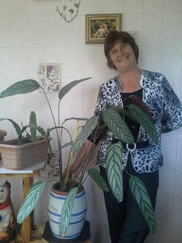  ,   , 63 ,   ,   , c 