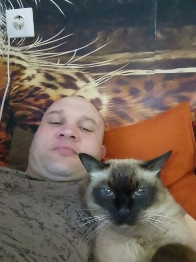  ,   , 41 ,   ,   