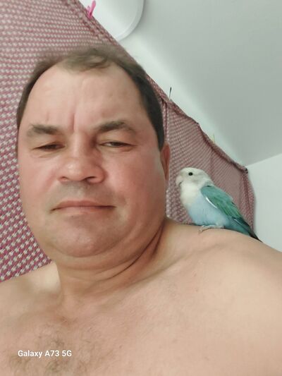  ,   Alic, 44 ,   ,   , c 