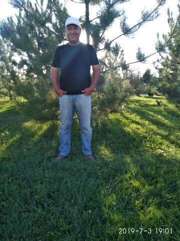  ,   Oybek, 50 ,   ,   