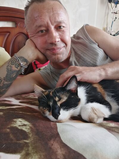  ,   , 53 ,   ,   