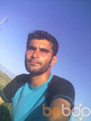 ���������� ����, ���� ������� Cavid, 38 ���, ������������ ��� ������, ����� � ���������, c�������� ���������