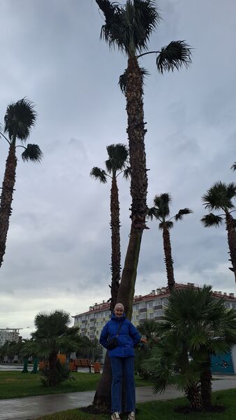  ,   , 41 ,     