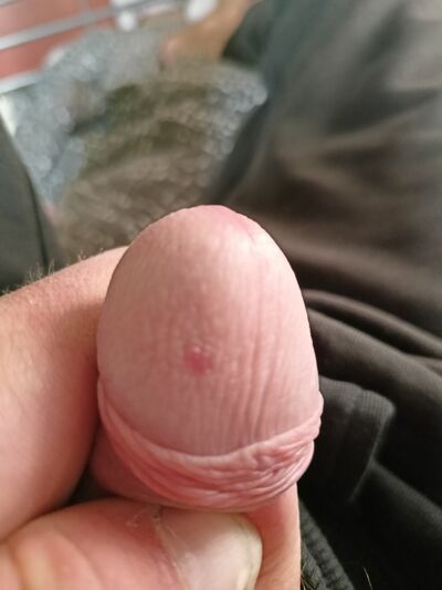  Wodzislaw Slaski,   , 43 ,   ,   , c , 