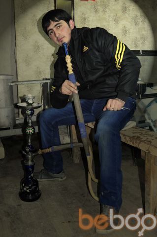  ,   Sexavet, 36 ,   ,   , c 