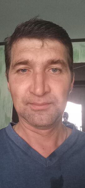  -,   , 46 ,   ,   