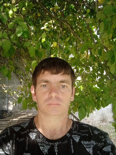  ,   , 38 ,     , c 