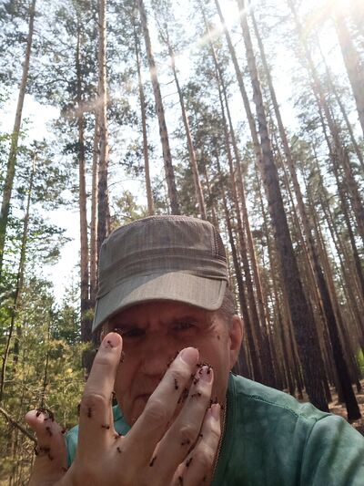  ,   , 65 ,  