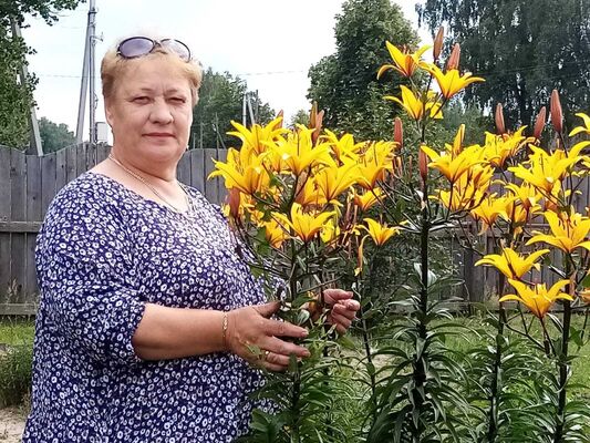  ,   , 61 ,   c 