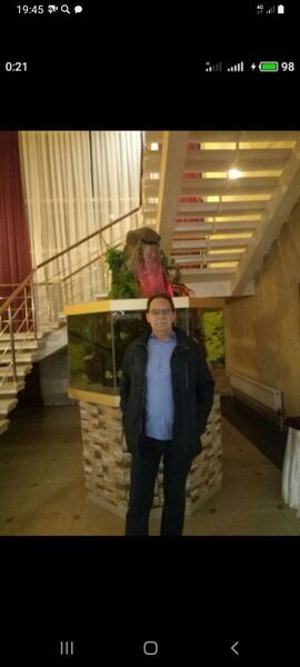   ,   , 54 ,   ,   