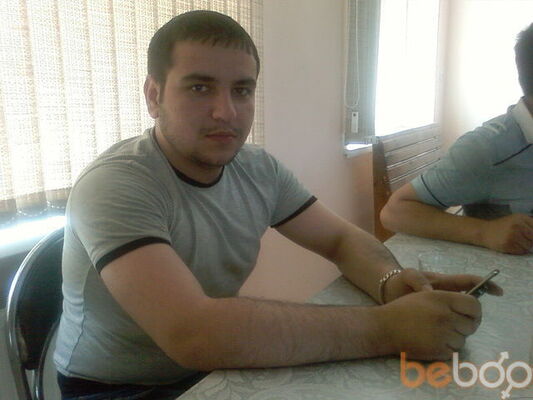  ,   Krasavcik, 37 ,     , c , 