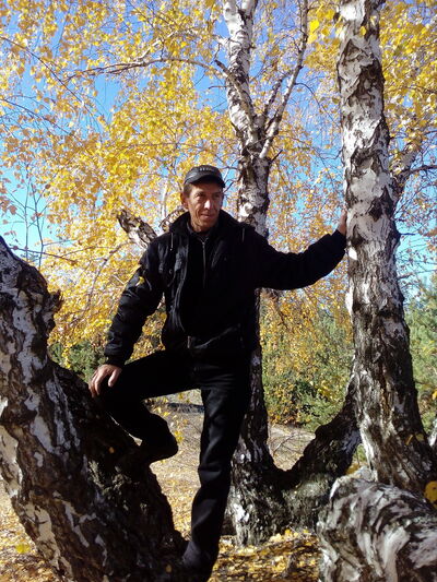  ,   , 54 ,   