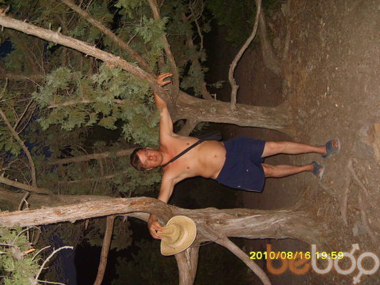  ,   , 51 ,   