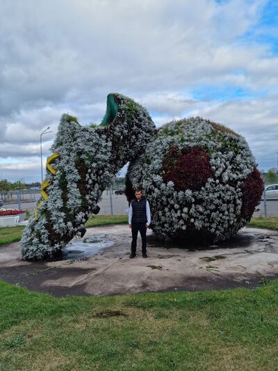  ,   , 26 ,   ,   , c 