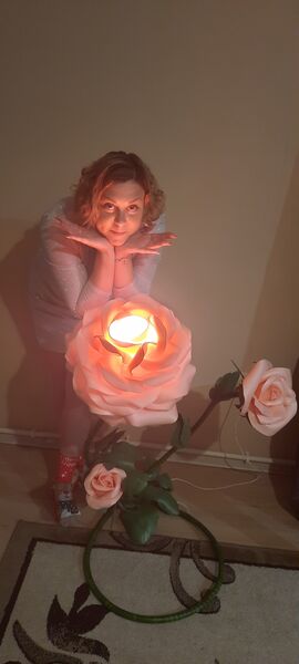  ,   , 38 ,   ,   