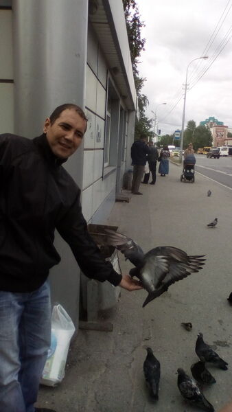  ,   , 42 ,   ,   , c 