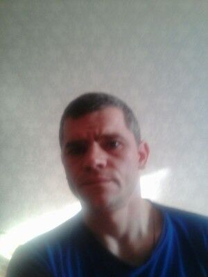  15687160  , 41 ,    