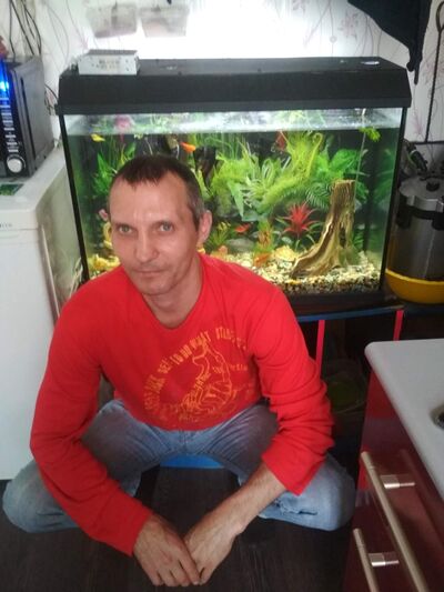  ,   Vladimir, 50 ,   ,   , c 