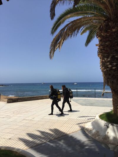  Santa Cruz de Tenerife,   , 42 ,   ,   , c 