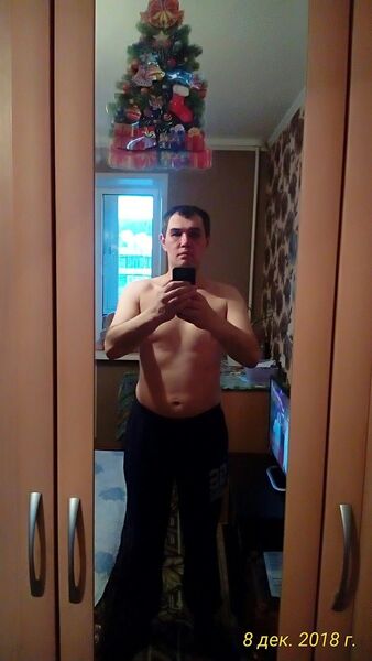  ,   Rust, 41 ,   