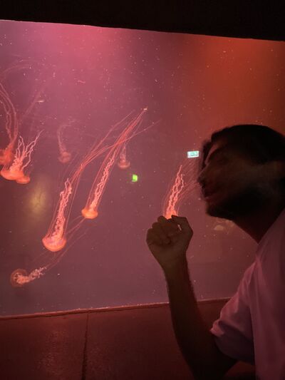  -,   , 25 ,   ,   