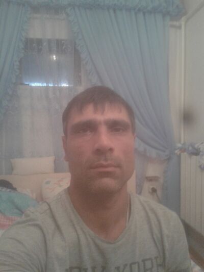  ,   Elman, 40 ,   ,   , c 