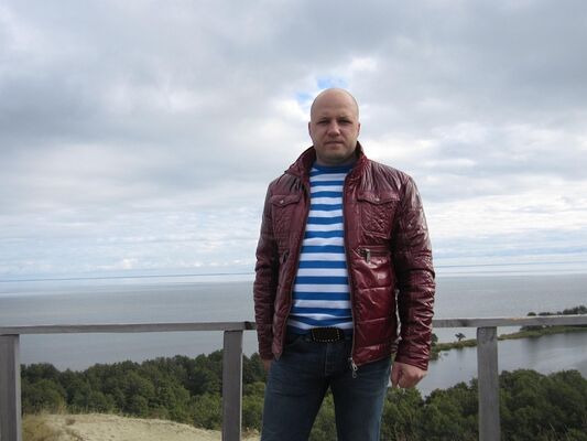  ,   Andreisidi, 43 ,   