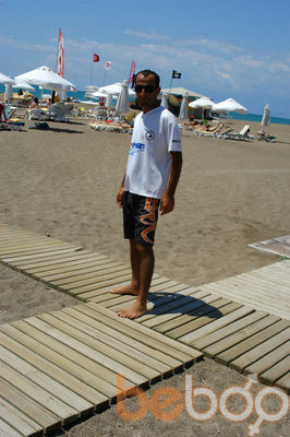 ,   WOLF, 43 ,   ,   , c , 