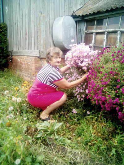  ,   , 75 ,   ,   