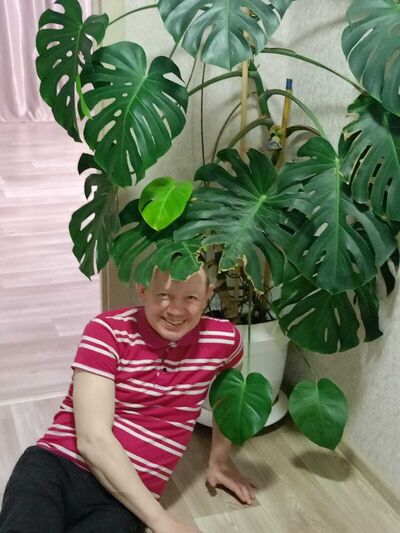  ,   , 44 ,   ,   , c , 