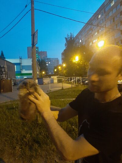  -,   , 41 ,   ,   