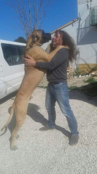  Koeln,   Alex, 60 ,   ,   , c 