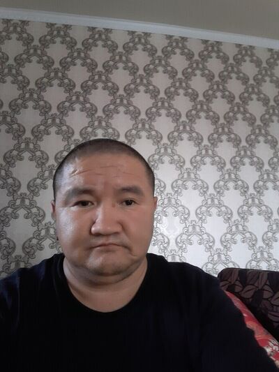  ,   Qumo, 44 ,   ,   , c 