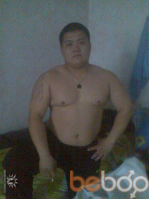  2543690  , 43 ,    -