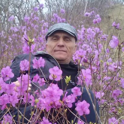  ,   , 56 ,   ,   