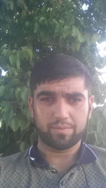 ,   Buxoro Fayz, 31 ,     , c , 