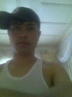 15168330  , 33 ,    